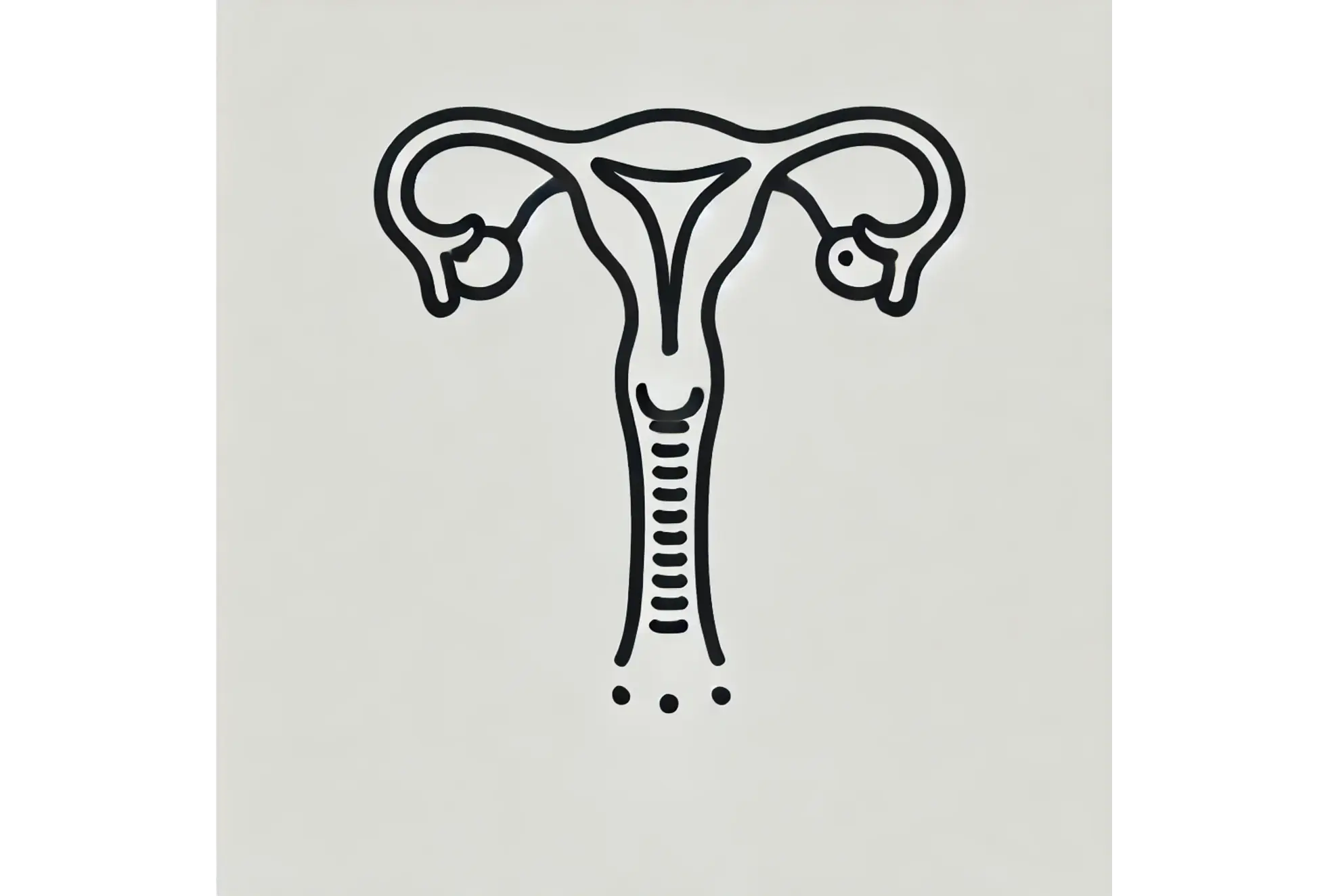 Everything You Should Know About The Fallopian Tubes - Diagram of Fallopian Tubes and their Role in Reproduction